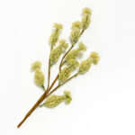 AROMA DELIGHTS ΛΟΥΛΟΥΔΙ ΤΕΧΝΗΤΟ 80cm FOAM ΚΡΕΜ PVC 031753 - Image 3