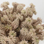 AROMA BLISS ΛΟΥΛΟΥΔΙ ΤΕΧΝΗΤΟ 23cm FOAM ΡΟΖ PVC 031771 - Image 4