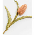 AROMA PARADISE ΛΟΥΛΟΥΔΙ ΤΕΧΝΗΤΟ 75cm FOAM ΚΟΡΑΛΛΙ ΠΡΑΣΙΝΟ PVC 031785 - Image 4