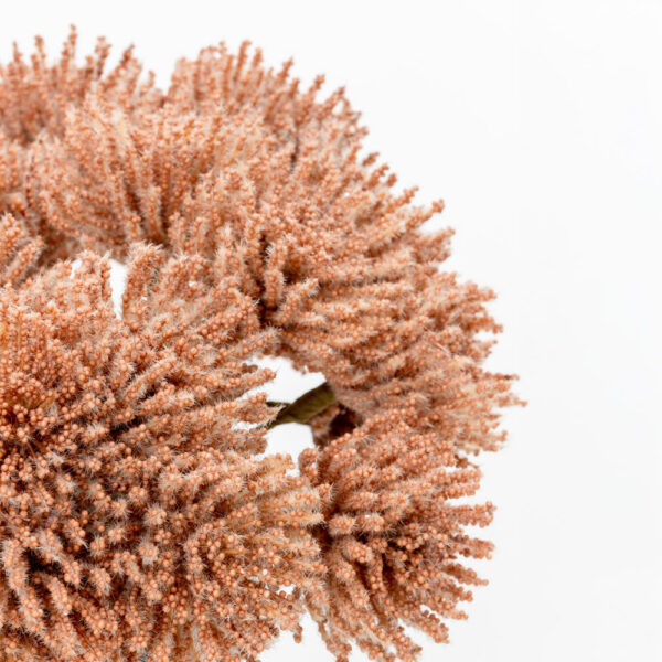 AROMA PARADISE ΛΟΥΛΟΥΔΙ ΤΕΧΝΗΤΟ ΜΠΟΥΚΕΤΟ 22cm FOAM ΚΟΡΑΛΛΙ PVC 031788 - Image 4