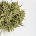 AROMA WISHPER ΛΟΥΛΟΥΔΙ ΤΕΧΝΗΤΟ 57cm FOAM ΠΡΑΣΙΝΟ ΠΡΑΣΙΝΟ PVC 031801 - Image 3