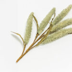 AROMA WISHPER ΛΟΥΛΟΥΔΙ ΤΕΧΝΗΤΟ 74cm FOAM ΠΡΑΣΙΝΟ ΠΡΑΣΙΝΟ PVC 031802 - Image 3