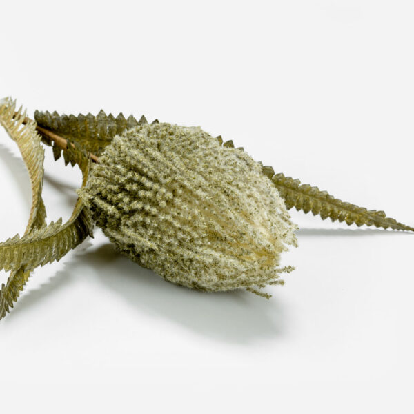 AROMA WISHPER ΛΟΥΛΟΥΔΙ ΤΕΧΝΗΤΟ 64cm FOAM ΠΡΑΣΙΝΟ ΠΡΑΣΙΝΟ PVC 031803 - Image 2