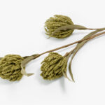 AROMA WISHPER ΛΟΥΛΟΥΔΙ ΤΕΧΝΗΤΟ 65cm FOAM ΠΡΑΣΙΝΟ ΠΡΑΣΙΝΟ PVC 031808 - Image 3