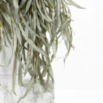 EUCALYPTUS BLOOMS ΚΛΑΔΙ ΤΕΧΝΗΤΟ 90cm FOAM ΠΡΑΣΙΝΟ 031823 - Image 5