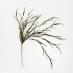 EUCALYPTUS BLOOMS ΚΛΑΔΙ ΤΕΧΝΗΤΟ 90cm FOAM ΠΡΑΣΙΝΟ 031824