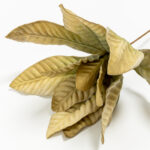 WILDFLOWERS ΚΛΑΔΙ ΤΕΧΝΗΤΟ 68cm FOAM ΠΡΑΣΙΝΟ 031827 - Image 5