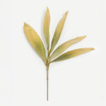 WILDFLOWERS ΚΛΑΔΙ ΤΕΧΝΗΤΟ 65cm FOAM ΠΡΑΣΙΝΟ 031828