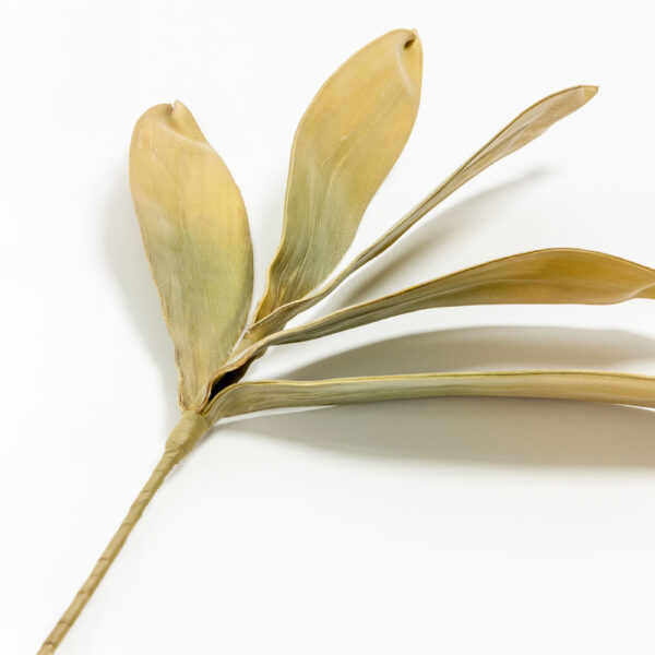 WILDFLOWERS ΚΛΑΔΙ ΤΕΧΝΗΤΟ 65cm FOAM ΠΡΑΣΙΝΟ 031828 - Image 4