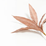 WILDFLOWERS ΚΛΑΔΙ ΤΕΧΝΗΤΟ 80cm FOAM ΡΟΖ 031829 - Image 5