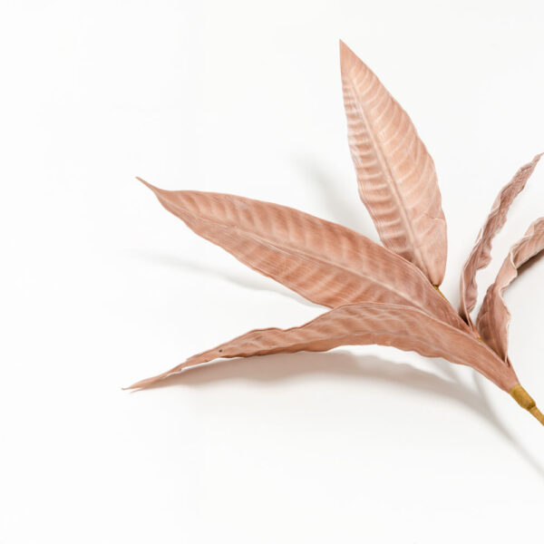 WILDFLOWERS ΚΛΑΔΙ ΤΕΧΝΗΤΟ 80cm FOAM ΡΟΖ 031829 - Image 5