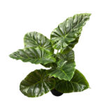 TARO ΦΥΤΟ ΤΕΧΝΗΤΟ ΣΕ ΓΛΑΣΤΡΑ 35cm PEVA ΠΡΑΣΙΝΟ 032218