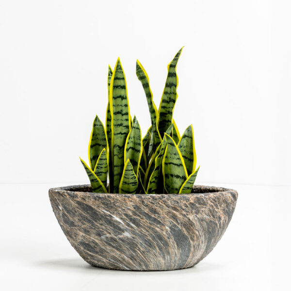 GASHER ΚΑΣΠΩ ΣΕΤ 2ΤΜΧ 46x22x20cm ΚΕΡΑΜΙΚΟ ΑΝΘΡΑΚΙ ΜΠΕΖ 032413 - Image 2