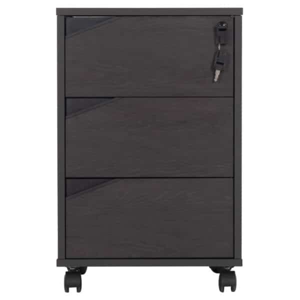 ΕΠΑΓΓΕΛΜΑΤΙΚΗ ΣΥΡΤΑΡΙΕΡΑ ΓΡΑΦΕΙΟΥ ΜΕ ΡΟΔΑΚΙΑ ROSEWOOD HM2108 40X42X60Y εκ. - Image 3