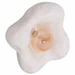 ΕΠΙΤΟΙΧΙΟ ΦΩΤΙΣΤΙΚΟ LUXON HM4701.02M FIBER CEMENT ΣΕ ΛΕΥΚΟ 28x15x28Υεκ. - Image 5