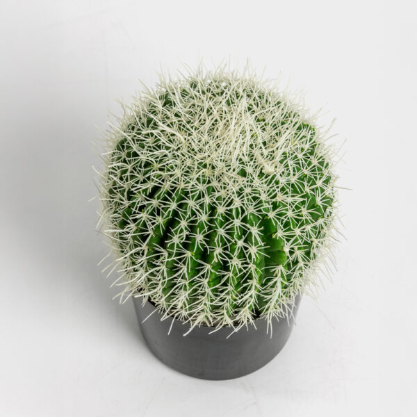 FEROCACTUS ΦΥΤΟ ΤΕΧΝΗΤΟ ΣΕ ΓΛΑΣΤΡΑ 18x18x30cm ΥΦΑΣΜΑ ΠΡΑΣΙΝΟ ΛΕΥΚΟ ΠΛΑΣΤΙΚΟ 019206 - Image 4