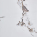 COCOA ΤΡΑΠΕΖΙ ΑΣΠΡΟ ΜΑΡΜΑΡΟ 80x80x75cm 02-0711 - Image 2