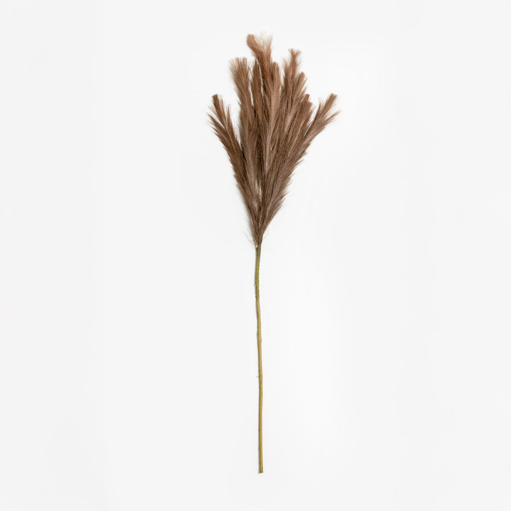 020265-nTst7-first-_1 FEDER ΚΛΑΔΙ ΤΕΧΝΗΤΟ 110cm POLYESTER ΚΑΦΕ 020265 - Image 1