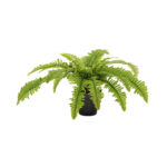 BOSTON FERN ΦΥΤΟ ΤΕΧΝΗΤΟ ΣΕ ΓΛΑΣΤΡΑ 36cm POLYESTER ΠΡΑΣΙΝΟ PE/PP 022411