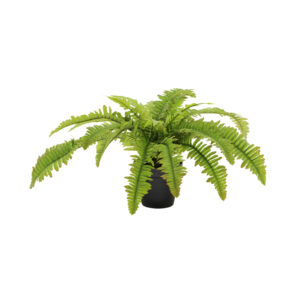 BOSTON FERN ΦΥΤΟ ΤΕΧΝΗΤΟ ΣΕ ΓΛΑΣΤΡΑ 36cm POLYESTER ΠΡΑΣΙΝΟ PE/PP 022411
