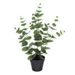 EUCALYPTUS ΦΥΤΟ ΤΕΧΝΗΤΟ ΣΕ ΓΛΑΣΤΡΑ 49cm POLYESTER ΠΡΑΣΙΝΟ PE/PP 022413