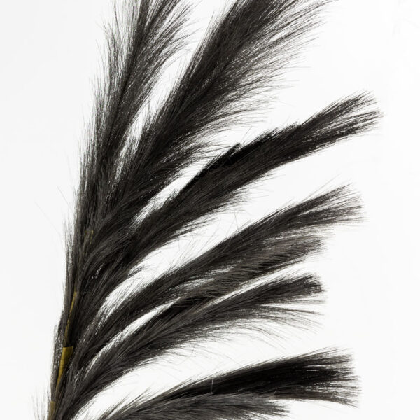 FEDER SINGLE ΚΛΑΔΙ ΤΕΧΝΗΤΟ ΜΕ ΦΤΕΡΑ 110cm POLYESTER ΜΑΥΡΟ 024114 - Image 2