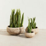 PORTER ΚΑΣΠΩ SET 3ΤΜΧ 40x40x19cm TERRACOTTA ΜΠΕΖ 029243 - Image 3