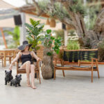 SPIKEY ΔΙΑΚΟΣΜΗΤΙΚΟ ΣΚΥΛΟΣ 48x21x38cm ΤΕΧΝΗΤΗ ΠΕΤΡΑ ΜΑΥΡΟ ΜΑΤ 029270 - Image 2