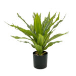 RAIN RIGA ΦΥΤΟ ΤΕΧΝΗΤΟ ΣΕ ΓΛΑΣΤΡΑ 45cm ΥΦΑΣΜΑ ΠΡΑΣΙΝΟ PVC 031323