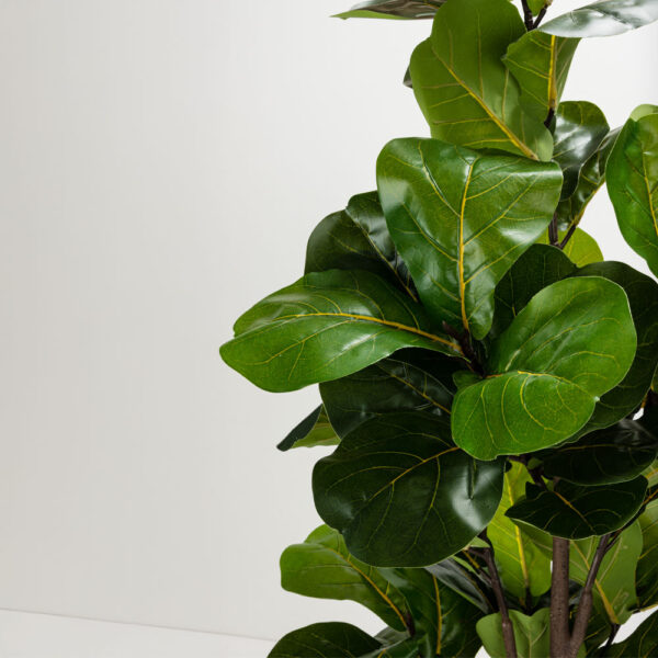 FICUS PANDURATA ΔΕΝΤΡΟ ΤΕΧΝΗΤΟ ΣΕ ΓΛΑΣΤΡΑ 180cm ΥΦΑΣΜΑ ΠΡΑΣΙΝΟ PVC 031329 - Image 2