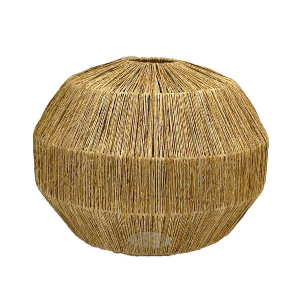 SOLEARTH ΦΩΤΙΣΤΙΚΟ ΟΡΟΦΗΣ 50x50x41cm ΓΙΟΥΤΑ ΦΥΣΙΚΟ 034343 - Image 2