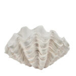 CORALIA ΓΛΑΣΤΡΑ ΚΟΡΑΛΙ 48.5x32x28.5cm RESIN OFF WHITE 034689