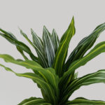 RAIN RIGA ΦΥΤΟ ΤΕΧΝΗΤΟ ΣΕ ΓΛΑΣΤΡΑ 45cm ΥΦΑΣΜΑ ΠΡΑΣΙΝΟ PVC 031323 - Image 3