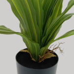 RAIN RIGA ΦΥΤΟ ΤΕΧΝΗΤΟ ΣΕ ΓΛΑΣΤΡΑ 45cm ΥΦΑΣΜΑ ΠΡΑΣΙΝΟ PVC 031323 - Image 5