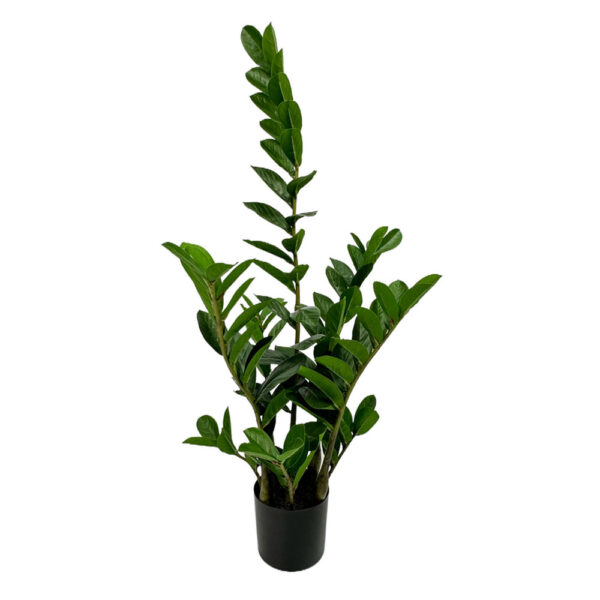 ZAMIA ΦΥΤΟ ΤΕΧΝΗΤΟ ΣΕ ΓΛΑΣΤΡΑ 85cm ΥΦΑΣΜΑ ΠΡΑΣΙΝΟ PVC 031325 - Image 2