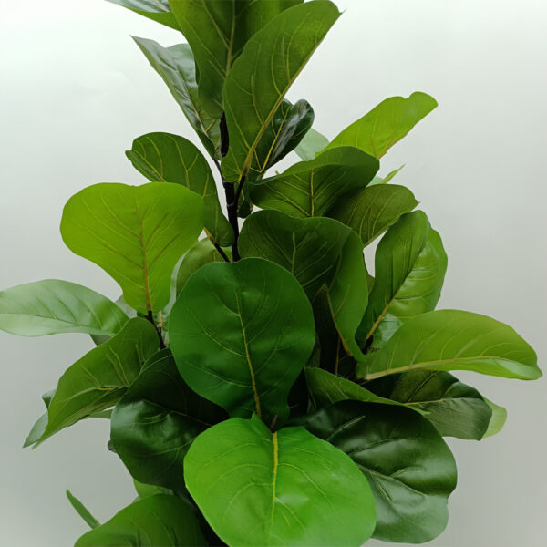 FICUS PANDURATA ΔΕΝΤΡΟ ΤΕΧΝΗΤΟ ΣΕ ΓΛΑΣΤΡΑ 180cm ΥΦΑΣΜΑ ΠΡΑΣΙΝΟ PVC 031329 - Image 5