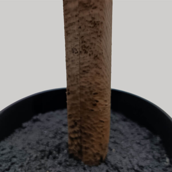 FICUS PANDURATA ΔΕΝΤΡΟ ΤΕΧΝΗΤΟ ΣΕ ΓΛΑΣΤΡΑ 180cm ΥΦΑΣΜΑ ΠΡΑΣΙΝΟ PVC 031329 - Image 7