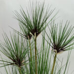 HEAD BAMBOO ΦΥΤΟ ΤΕΧΝΗΤΟ ΣΕ ΓΛΑΣΤΡΑ 95cm PVC ΠΡΑΣΙΝΟ 031335 - Image 3
