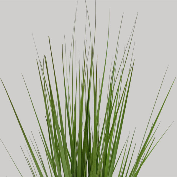 PURE GRASS ΦΥΤΟ ΤΕΧΝΗΤΟ ΣΕ ΓΛΑΣΤΡΑ 68cm PVC ΠΡΑΣΙΝΟ 031338 - Image 3