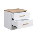 PRACTICO ΚΟΜΟΔΙΝΟ 2ΣΥΡΤΑΡΙΑ ΦΥΣΙΚΟ ΛΕΥΚΟ 50x40x50 09-1969 - Image 7