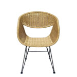 HAVANA ΚΑΡΕΚΛΑ ΦΥΣΙΚΟ 59x64x80 22-0079 - Image 8