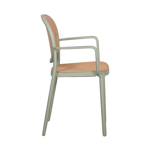 RATTI/P ΚΑΡΕΚΛΑ ΜΕΝΤΑ ΦΥΣΙΚΟ 57x51x84 27-0222 - Image 6