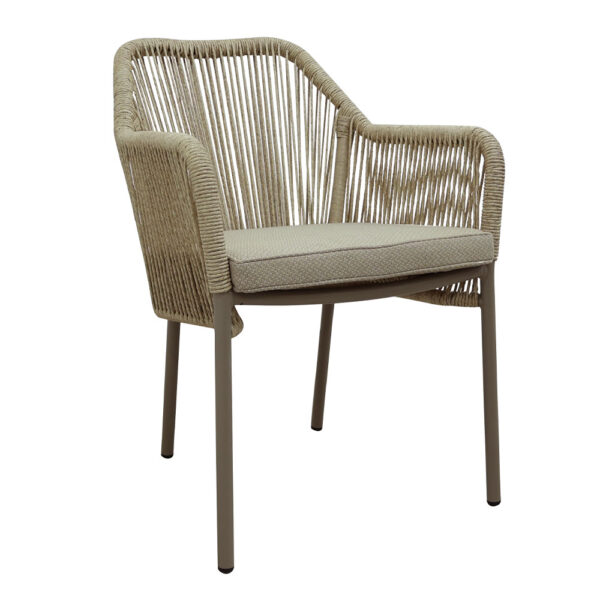 CELIA ΚΑΡΕΚΛΑ ΦΥΣΙΚΟ CHAMPAGNE 56x67x80 53-0001 - Image 6