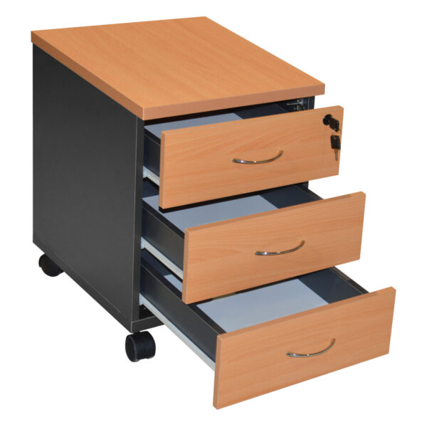 ΣΥΡΤΑΡΙΕΡΑ ΓΡΑΦΕΙΟΥ ΕΠΑΓΓΕΛΜΑΤΙΚΗ SIENNA HM2011.01 ΟΞΙΑ ΜΕ 3 ΣΥΡΤΑΡΙΑ 38X48X53εκ - Image 2