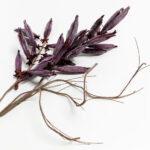 MAUVE ΛΟΥΛΟΥΔΙ ΤΕΧΝΗΤΟ 113cm EVA FOAM ΜΩΒ 021129 - Image 4