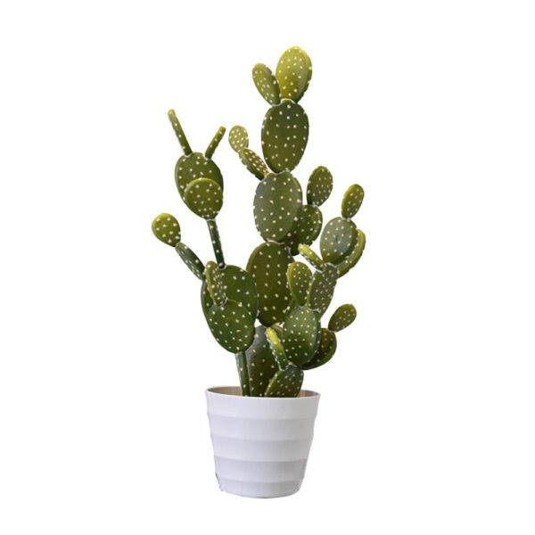 REBUTIA ΦΥΤΟ ΤΕΧΝΗΤΟ ΣΕ ΓΛΑΣΤΡΑ 67cm PVC ΠΡΑΣΙΝΟ ΛΕΥΚΟ ΤΣΙΜΕΝΤΟ 030825 - Image 2