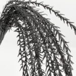 POISON ΚΛΑΔΙ ΤΕΧΝΗΤΟ 145cm EVA FOAM ΜΑΥΡΟ 014998 - Image 4
