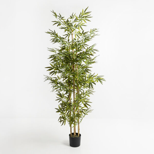 BAMBOO ΔΕΝΤΡΟ ΤΕΧΝΗΤΟ ΣΕ ΓΛΑΣΤΡΑ 190cm POLYESTER ΠΡΑΣΙΝΟ PVC 019201 - Image 5