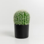FEROCACTUS ΦΥΤΟ ΤΕΧΝΗΤΟ ΣΕ ΓΛΑΣΤΡΑ 18x18x30cm ΥΦΑΣΜΑ ΠΡΑΣΙΝΟ ΛΕΥΚΟ ΠΛΑΣΤΙΚΟ 019206 - Image 5