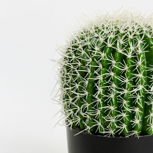 FEROCACTUS ΦΥΤΟ ΤΕΧΝΗΤΟ ΣΕ ΓΛΑΣΤΡΑ 18x18x30cm ΥΦΑΣΜΑ ΠΡΑΣΙΝΟ ΛΕΥΚΟ ΠΛΑΣΤΙΚΟ 019206 - Image 7